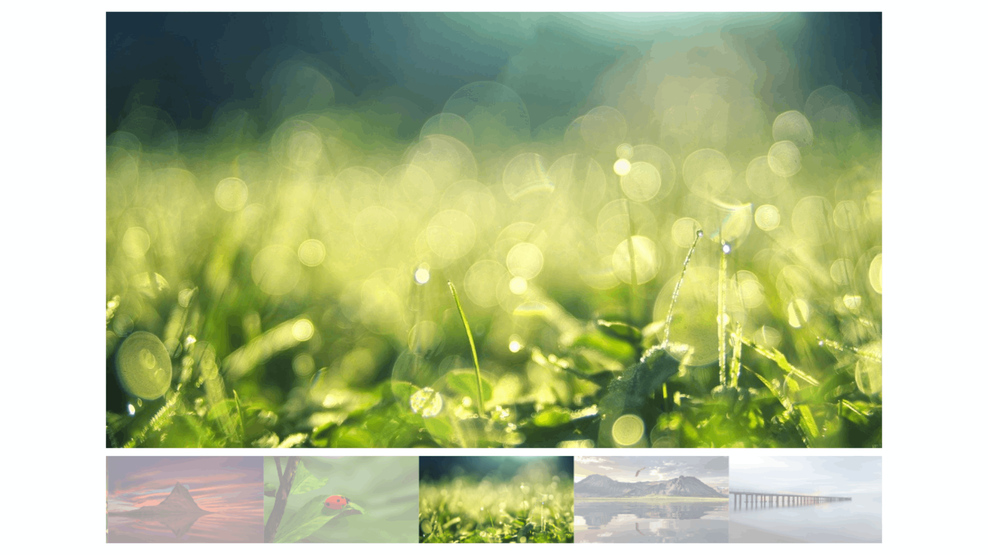 Swiper Slider - Galleria con miniature